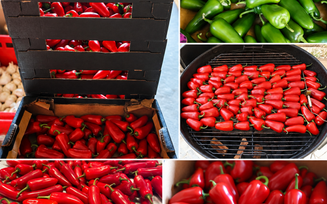 Beitrag Jalapenos
