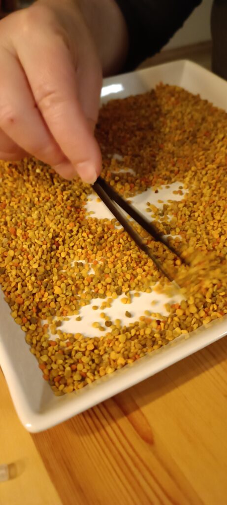 Unsere Bienen sammeln auch Pollen 4 Pollen reinigen