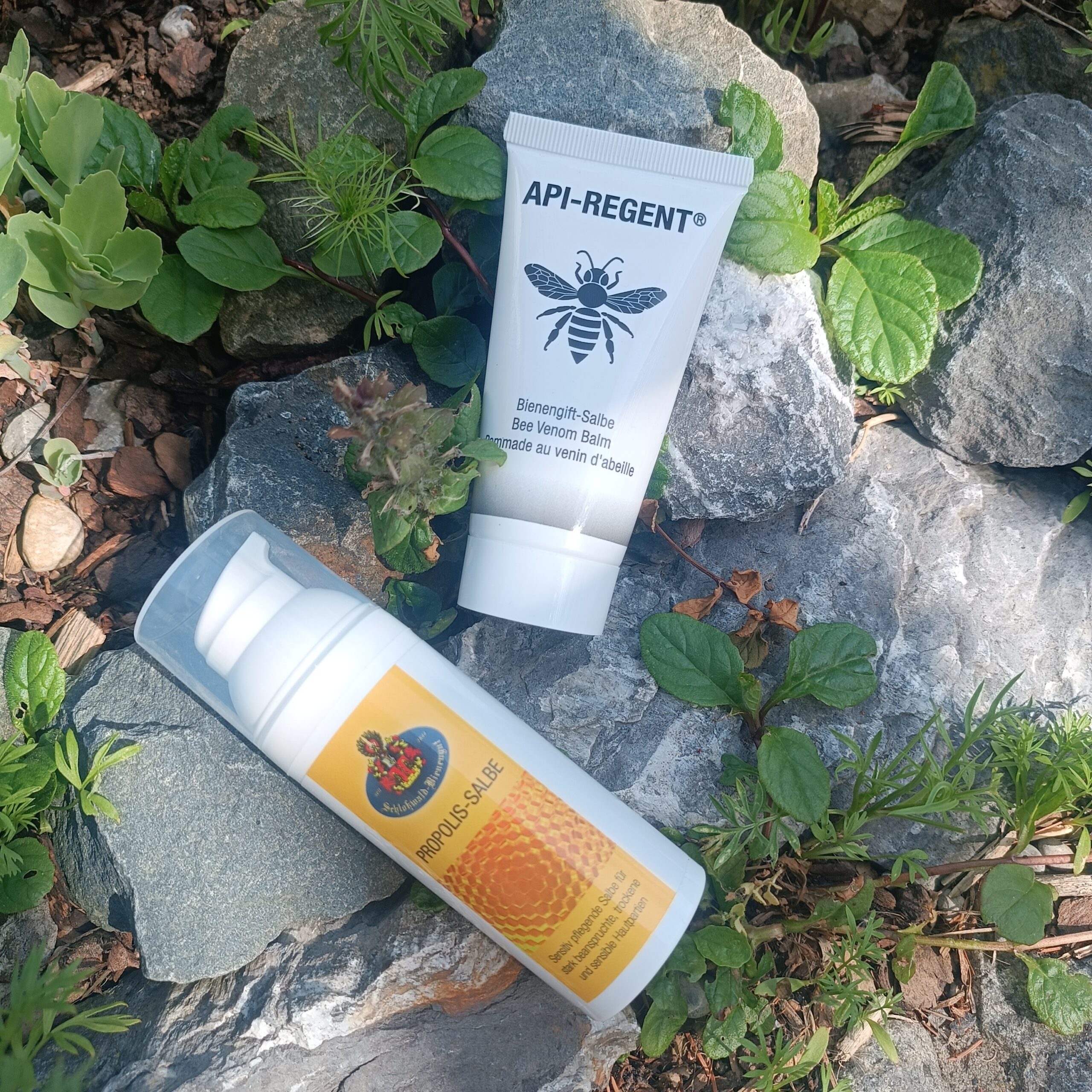 Propolis & Bienegift Salbe