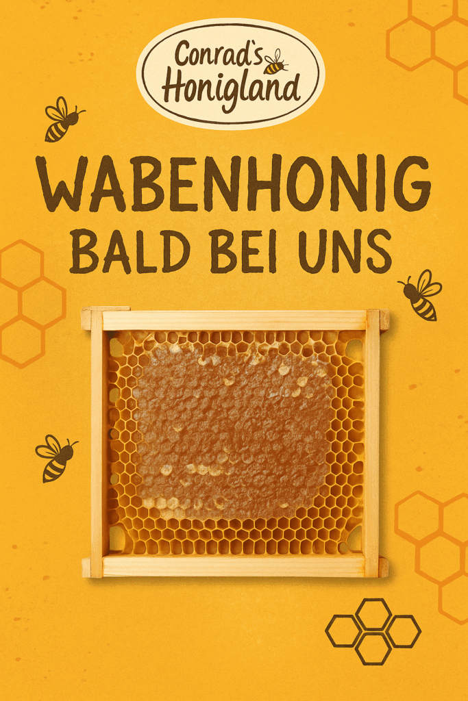 🍯 Wabenhonig – bald bei uns! 1 Wabenhonig bald bei Conrads Honigland